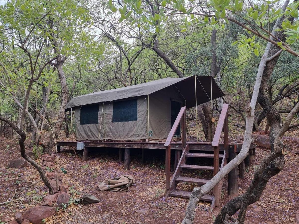 Waterfall Safari Lodge Winterkamp Eksteriør billede