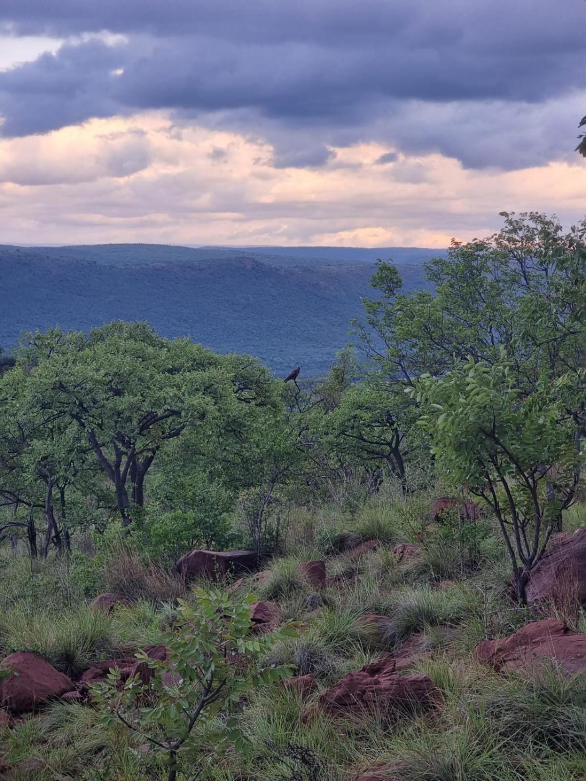 Waterfall Safari Lodge Winterkamp Eksteriør billede